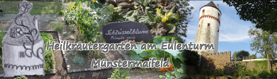 Heilkräutergarten am Eulenturm