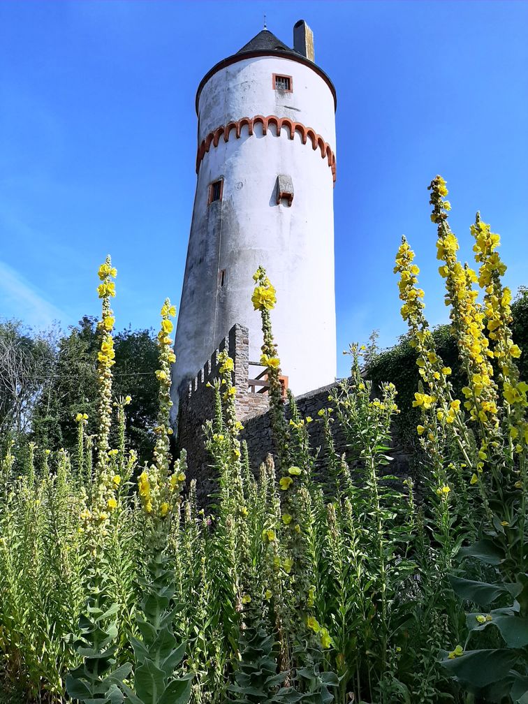 Kräutergarten